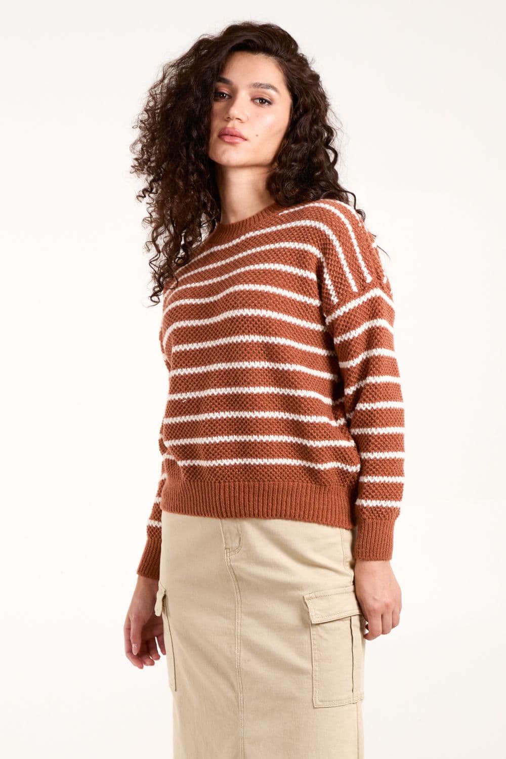 Blue Vanilla Women's Textured Stripe Jumper in Brown